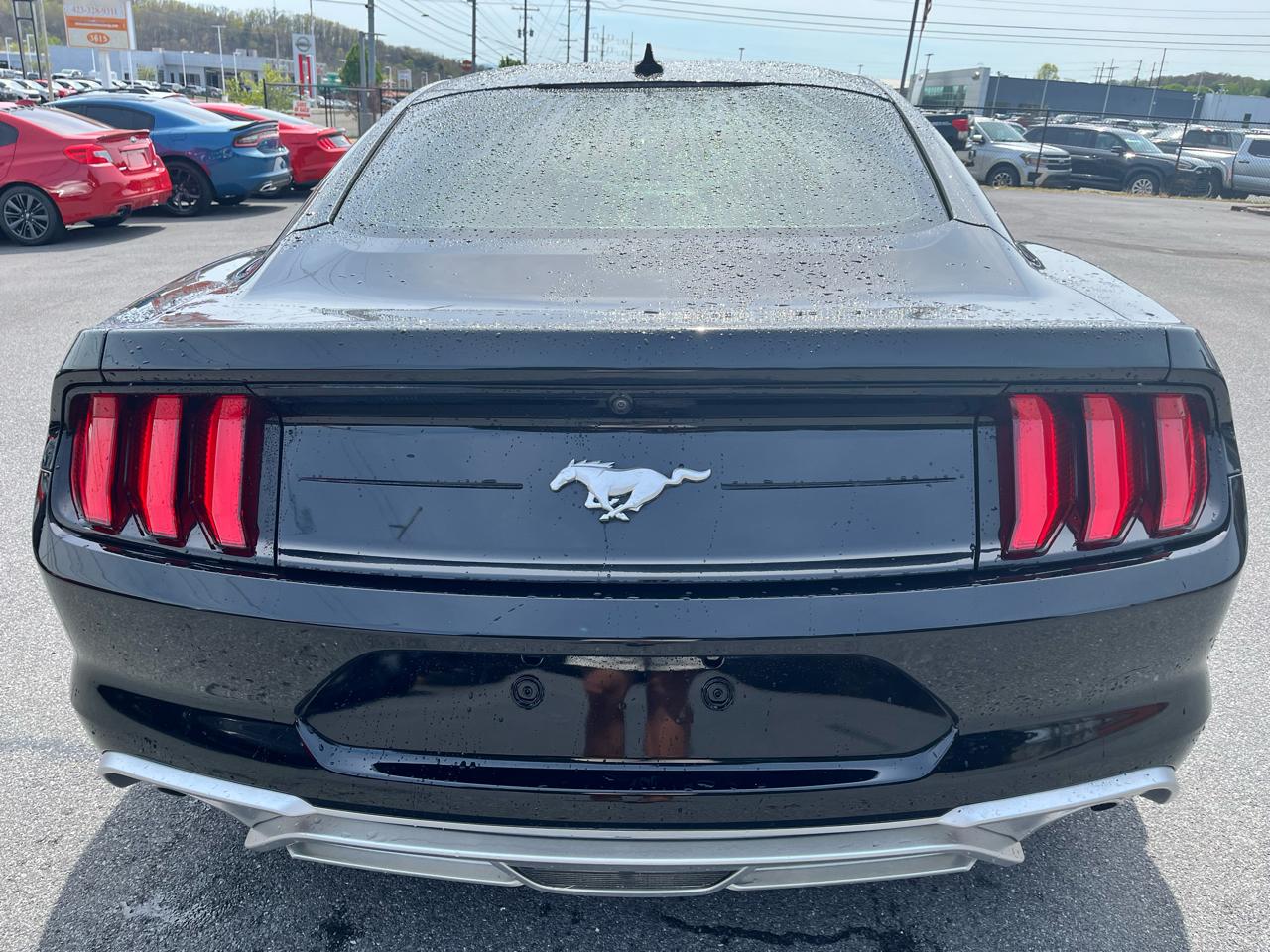 Ford Mustang EcoBoost Fastback 2022