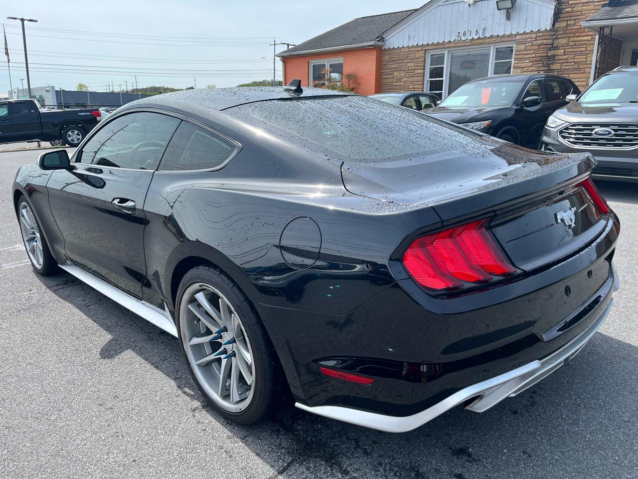 Ford Mustang EcoBoost Fastback 2022