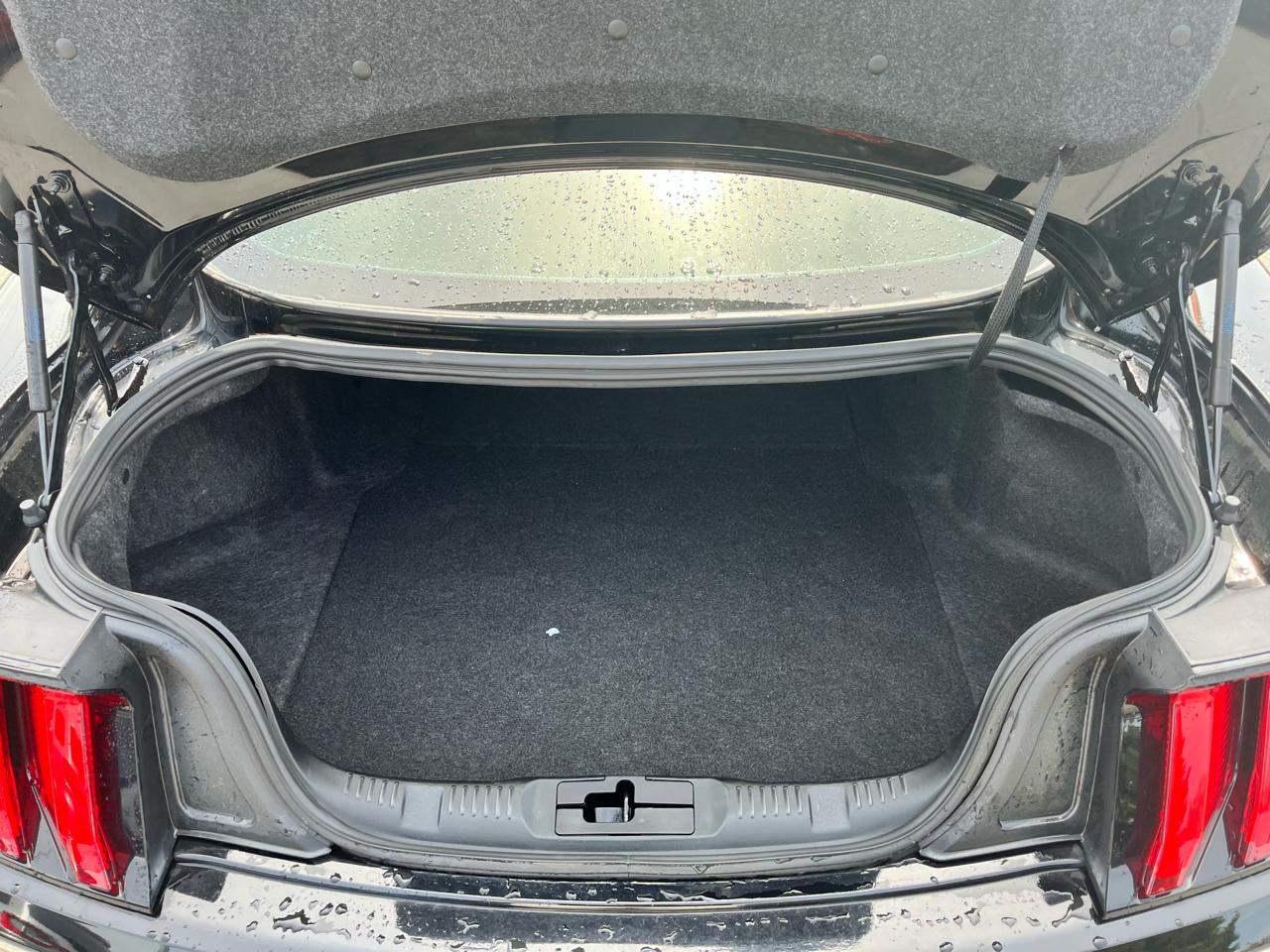 Ford Mustang EcoBoost Fastback 2022