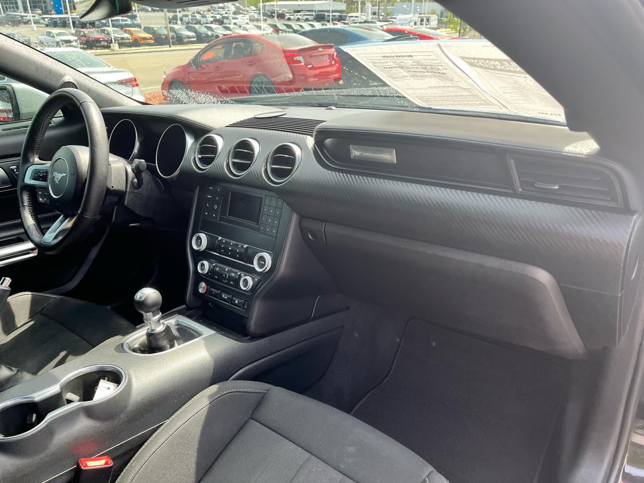 Ford Mustang EcoBoost Fastback 2022