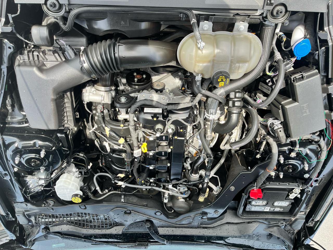 Ford Mustang EcoBoost Fastback 2022