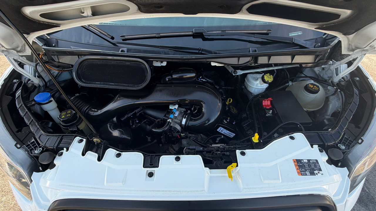 Ford Transit Passenger Wagon  2019