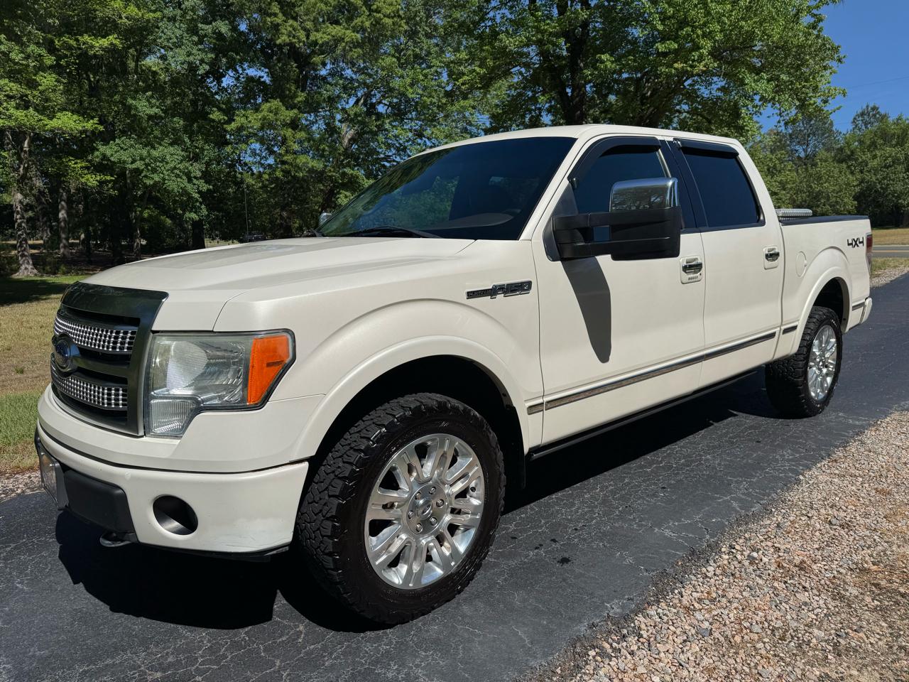 Ford F-150 4WD SuperCrew 145" Platinum 2009