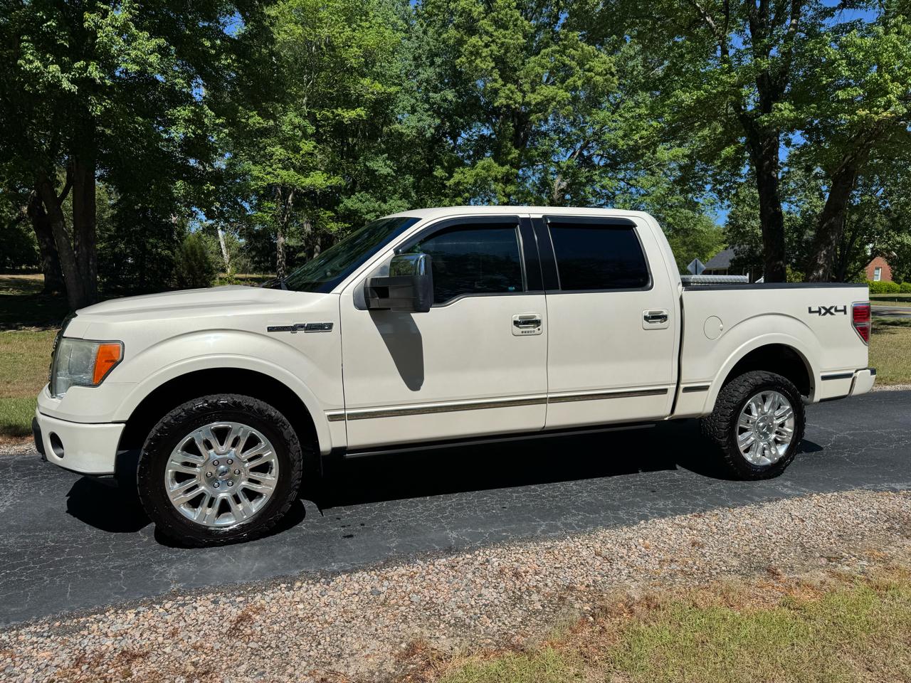 Ford F-150 4WD SuperCrew 145" Platinum 2009