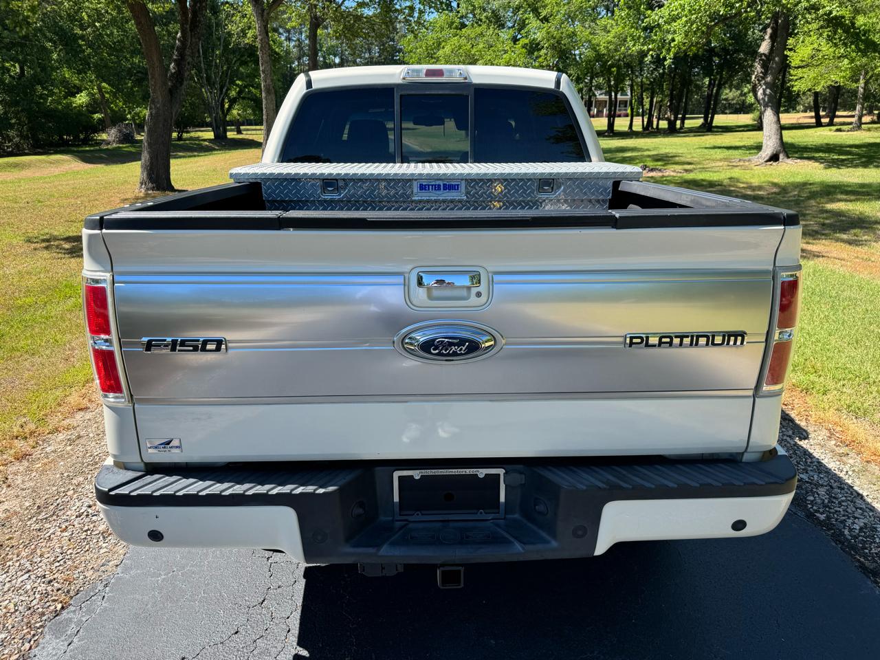 Ford F-150 4WD SuperCrew 145" Platinum 2009
