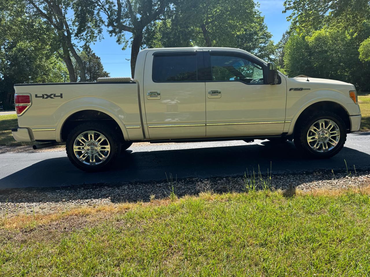 Ford F-150 4WD SuperCrew 145" Platinum 2009