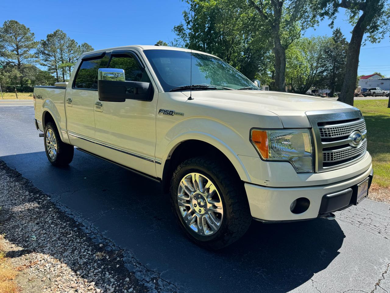 Ford F-150 4WD SuperCrew 145" Platinum 2009