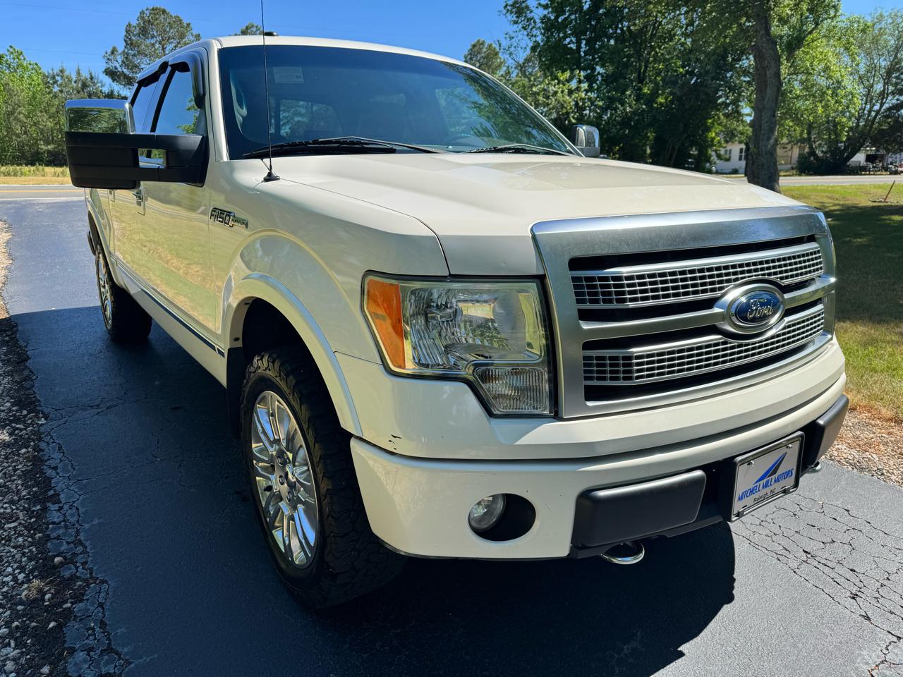 Ford F-150 4WD SuperCrew 145" Platinum 2009