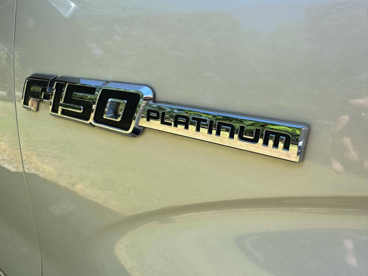 Ford F-150 4WD SuperCrew 145" Platinum 2009