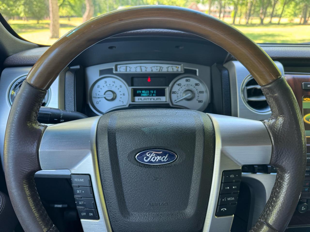 Ford F-150 4WD SuperCrew 145" Platinum 2009