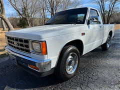1990 Chevrolet S/T Pickup 