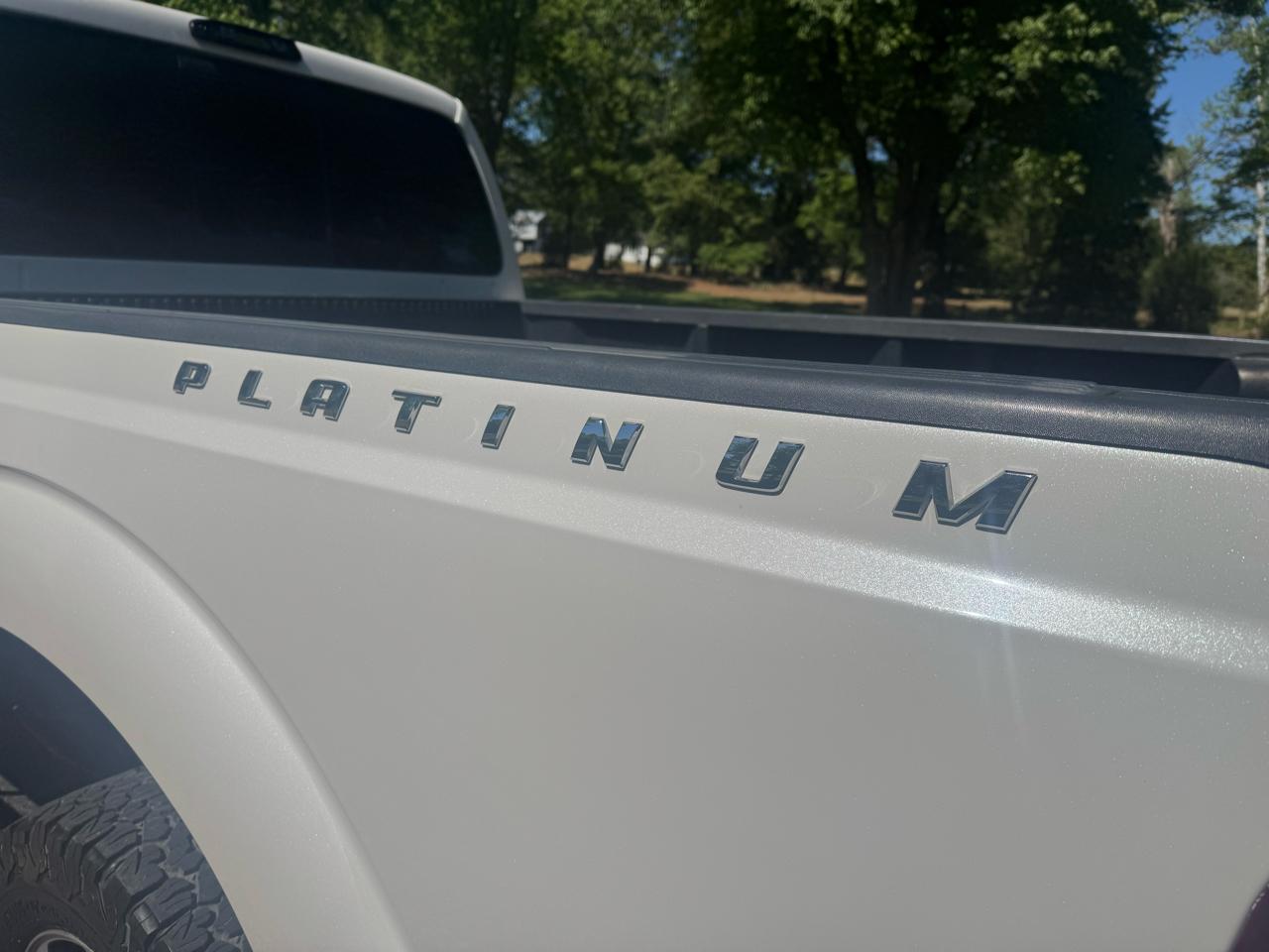 Ford Super Duty F-350 SRW 4WD Crew Cab 156" Platinum 2015