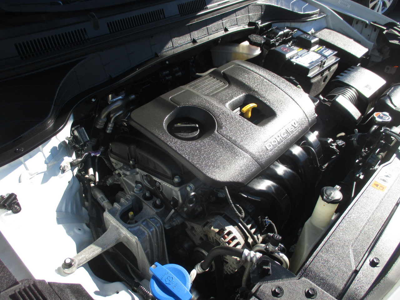 Hyundai Kona SEL Auto FWD 2021