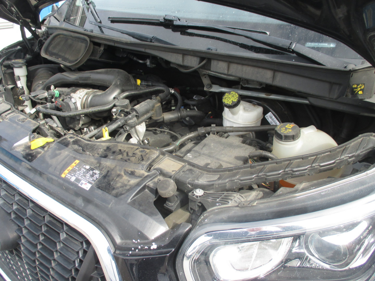 Ford Transit Passenger Wagon T-350 148" Med Roof XLT RWD 2023