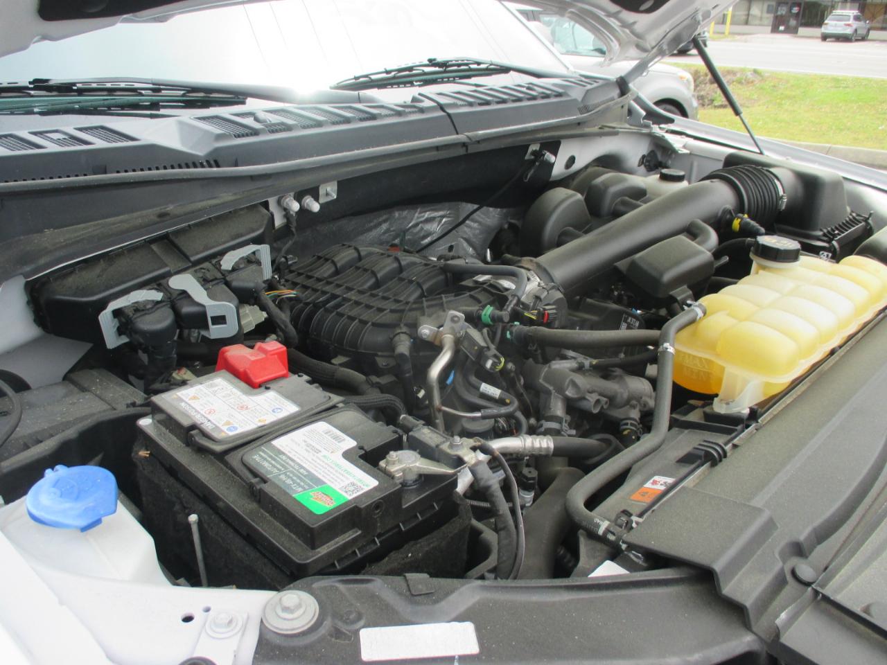 Ford F-150 XLT 2WD SuperCrew 5.5' Box 2019