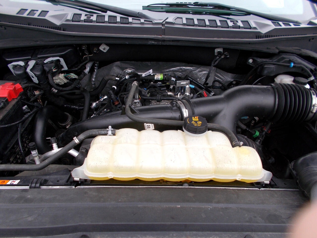 Ford F-150 STX SuperCab 6.5-ft. Bed 4WD 2019