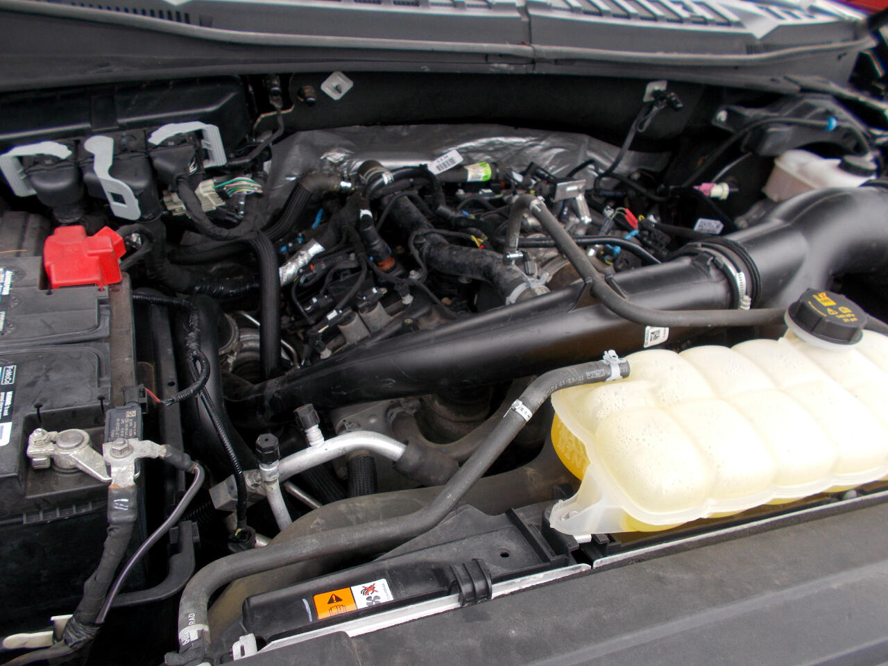 Ford F-150 STX SuperCab 6.5-ft. Bed 4WD 2019