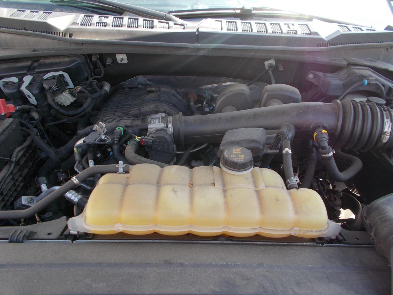 Ford F-150 XL 4WD Reg Cab 8' Box 2020