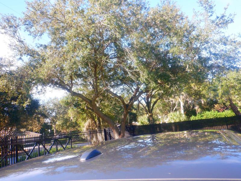 Nissan Frontier SV 2014 Nissan Frontier SV 2014