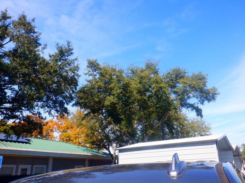 GMC Sierra 1500  2021