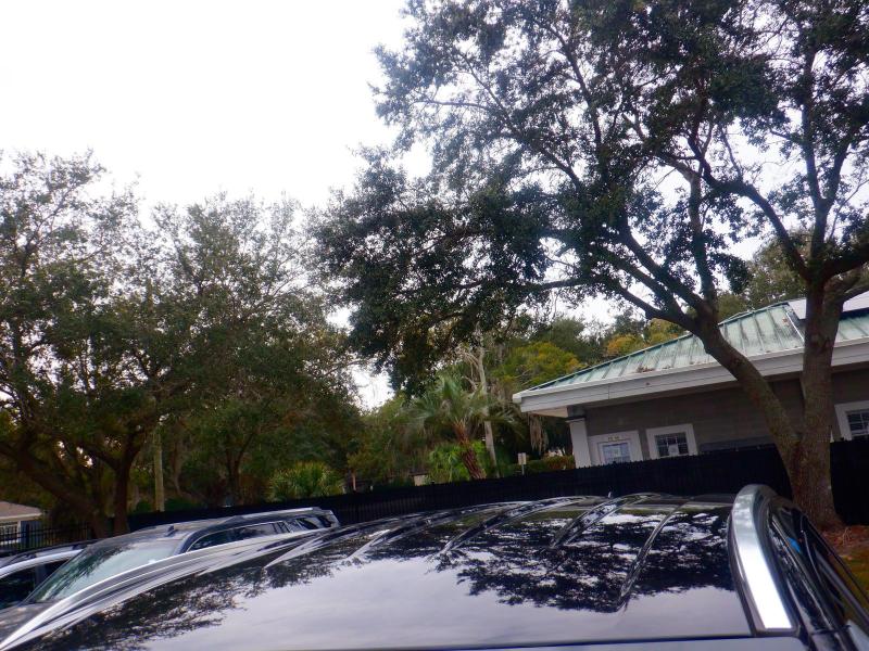 Lincoln Aviator Livery AWD 2023