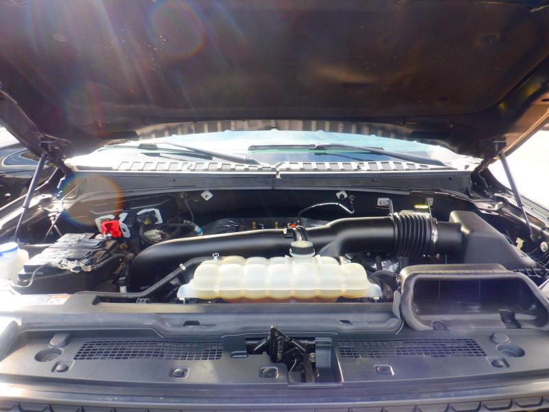 Ford Expedition Timberline 4WD 2022