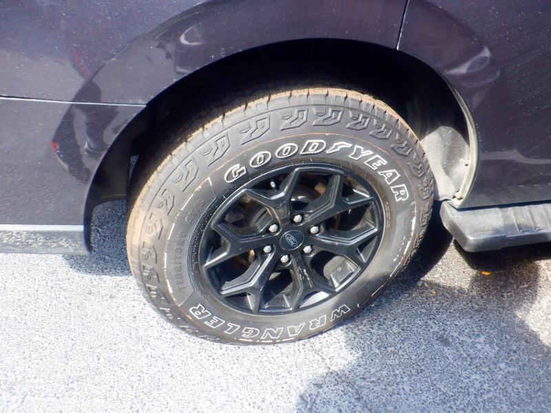 Ford Expedition Timberline 4WD 2022