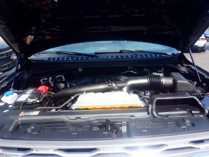 Ford Expedition Platinum 4x4 2022