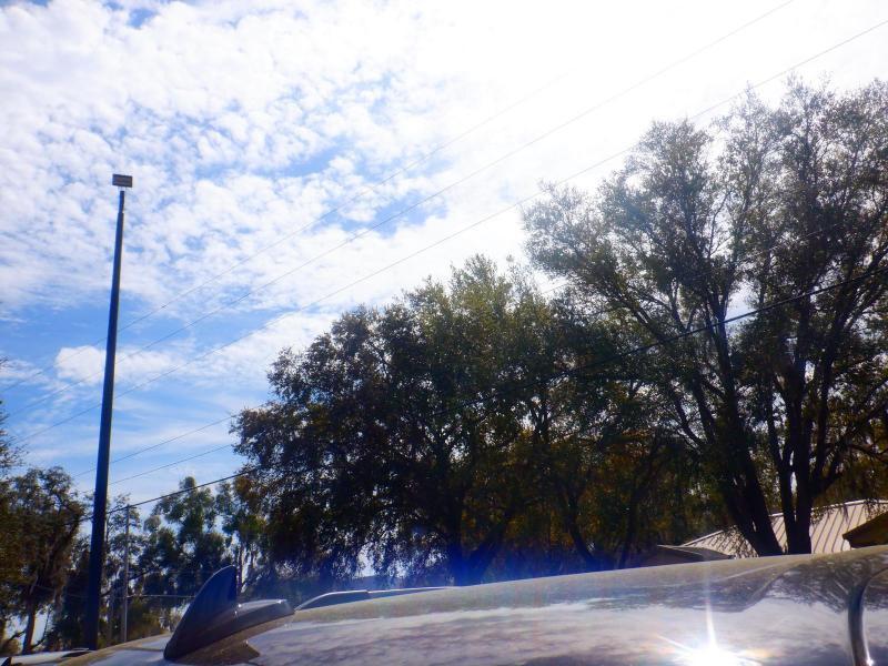 Ford Expedition Limited 2022