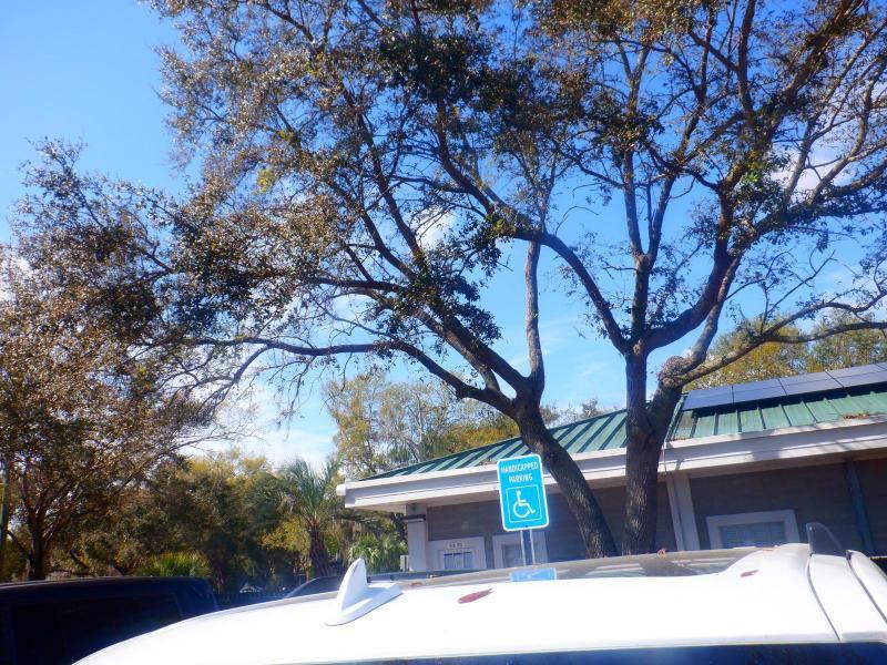 Ford Expedition  2024