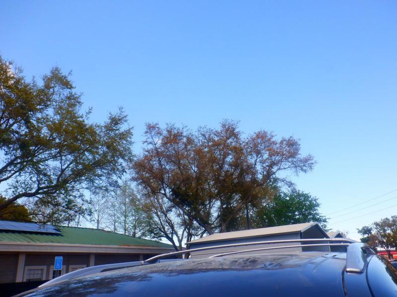 Infiniti QX80 PREMIUM SELECT 2024