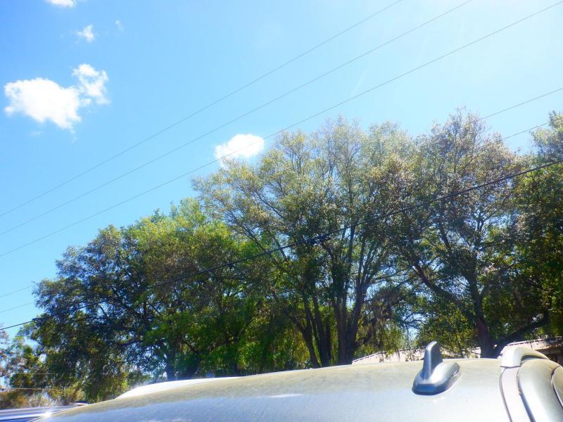 Chevrolet Suburban  2023