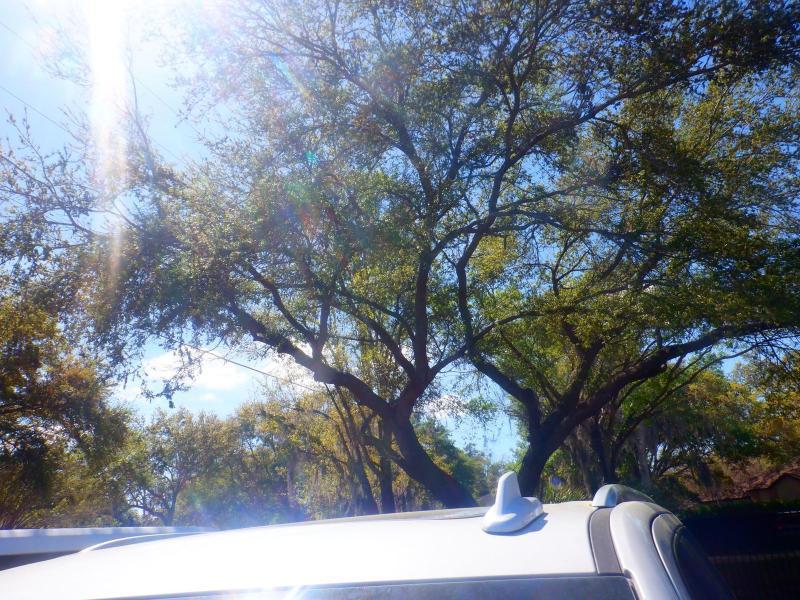 Chevrolet Tahoe  2023