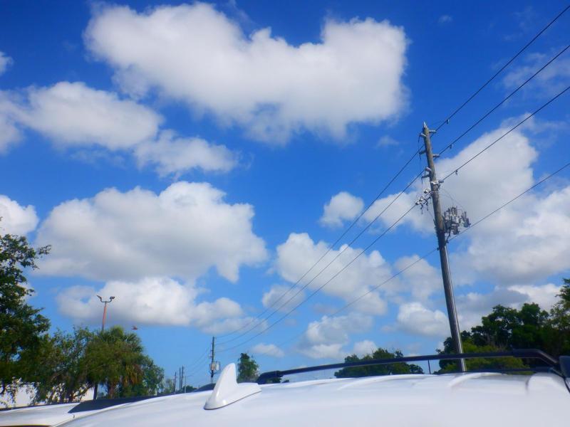 Ford Expedition  2024