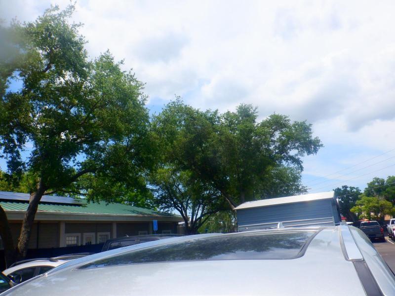 Lexus TX 350 Luxury 2024