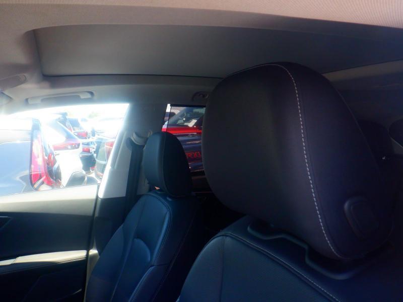 Audi Q8  2023