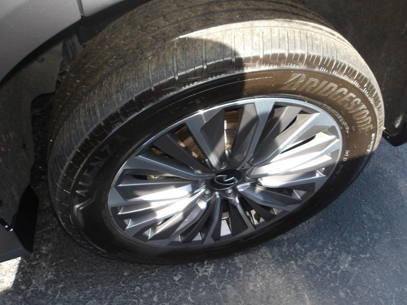 Infiniti QX80  2025