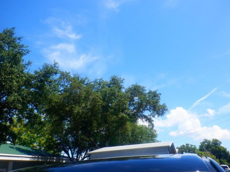 Ford F-150  2023