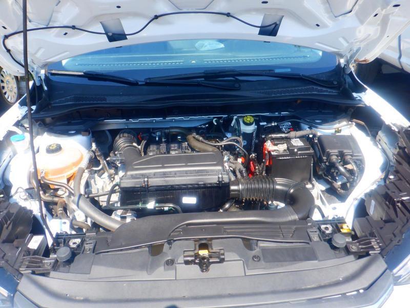 Ford Escape Active 2024