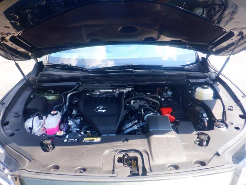 Lexus RX  2024