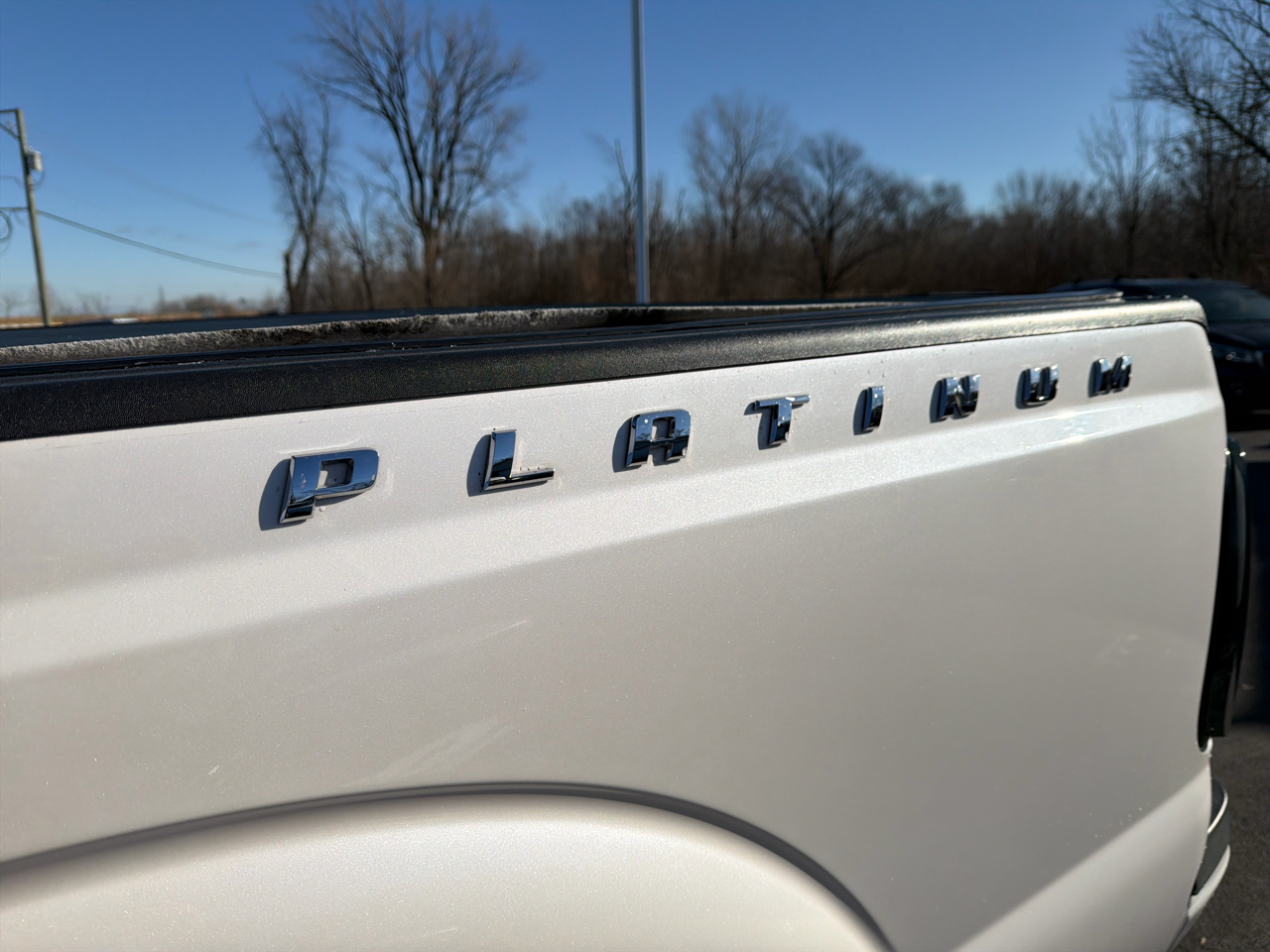 Ford Super Duty F-350 SRW 4WD Crew Cab 156" Platinum 2015