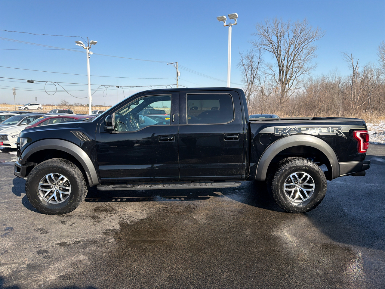 Ford F-150 Raptor 4WD SuperCrew 5.5' Box 2017