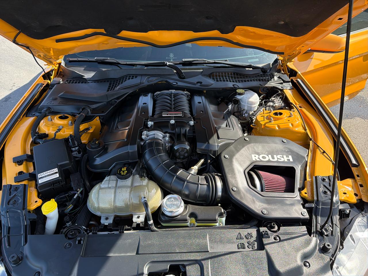 Ford Mustang GT Fastback 2022