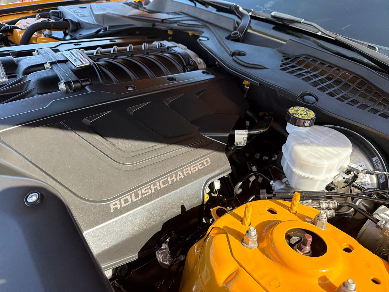 Ford Mustang GT Fastback 2022