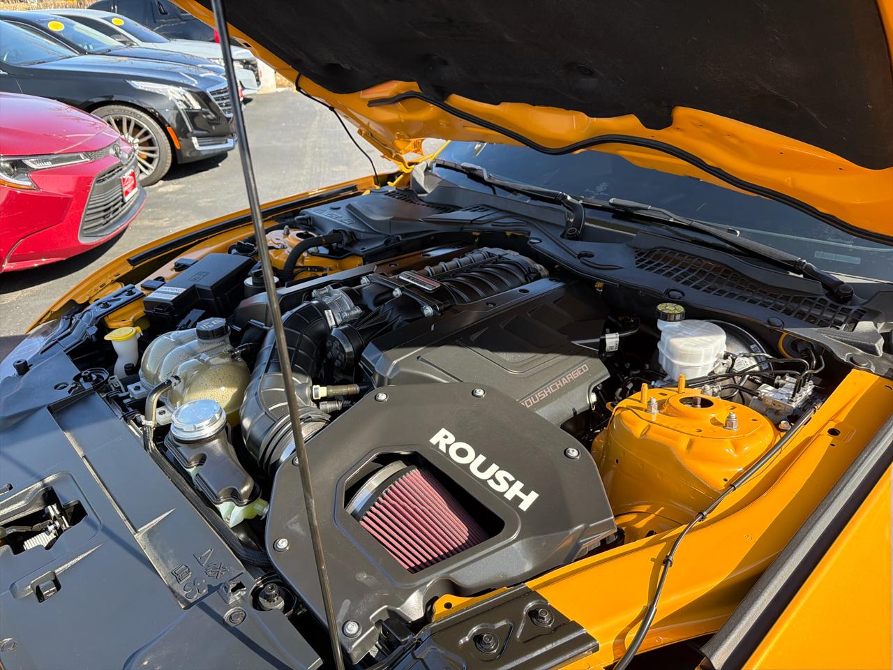 Ford Mustang GT Fastback 2022