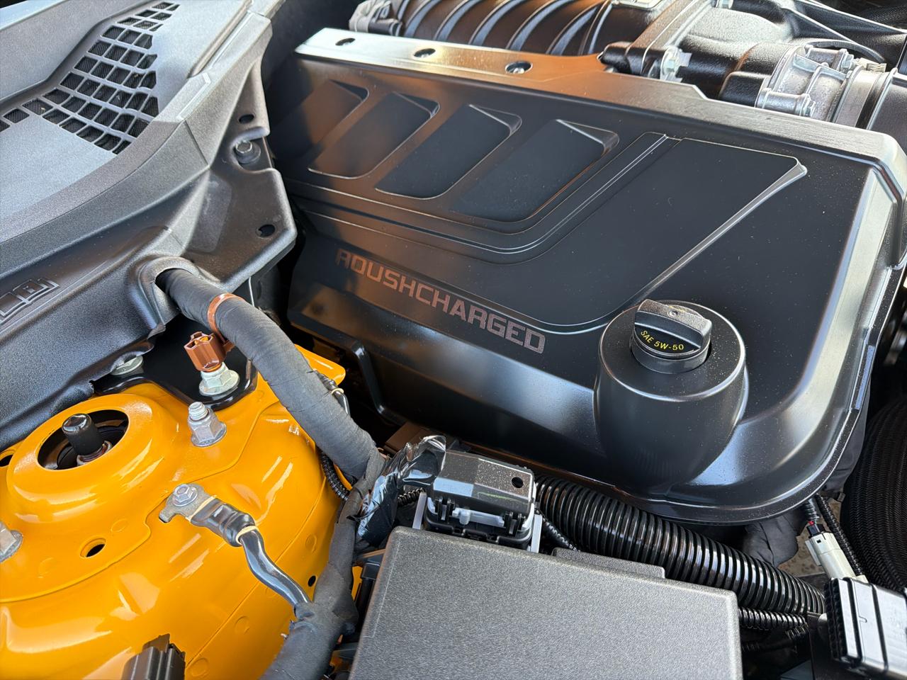 Ford Mustang GT Fastback 2022