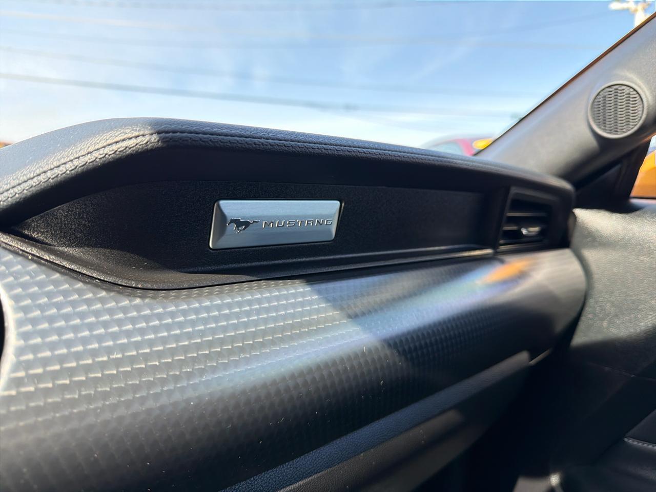 Ford Mustang GT Fastback 2022