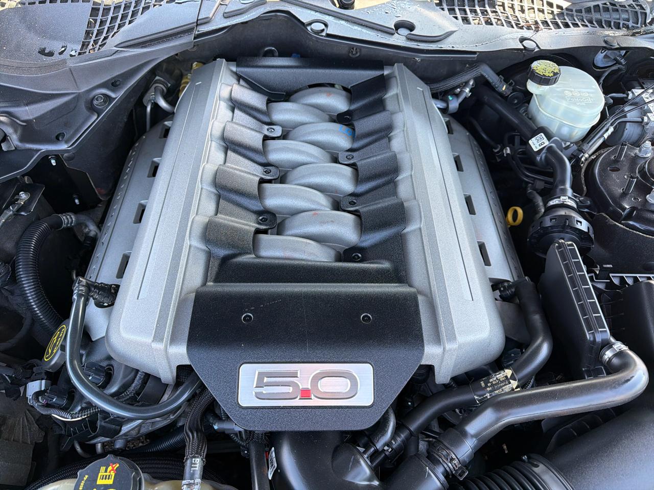 Ford Mustang GT Fastback 2017