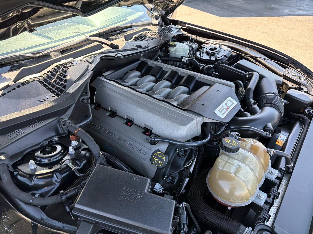 Ford Mustang GT Fastback 2017