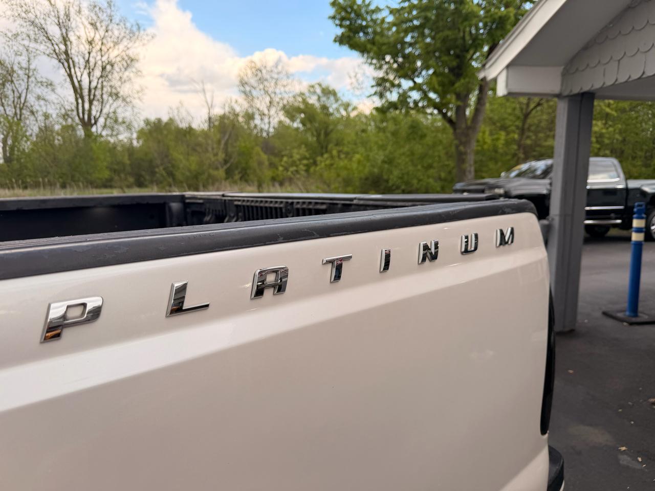 Ford Super Duty F-250 SRW 4WD Crew Cab 172" Platinum 2016